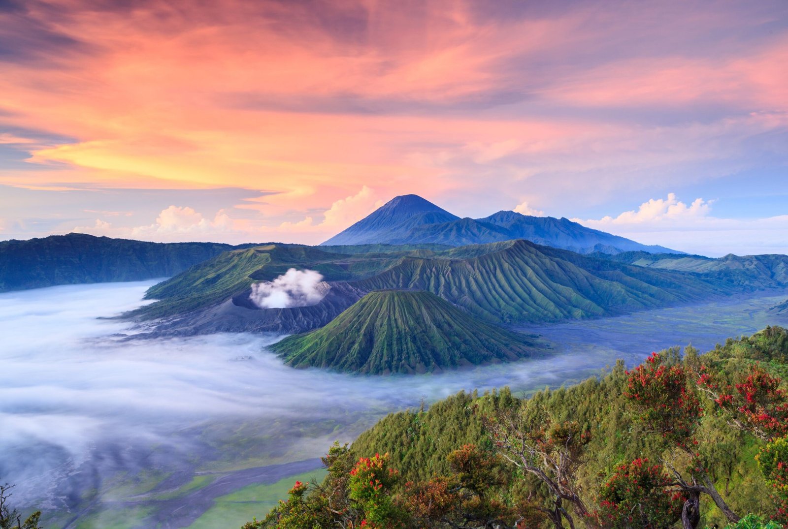 Halo Indonezja - ciekawostki o Indonezji